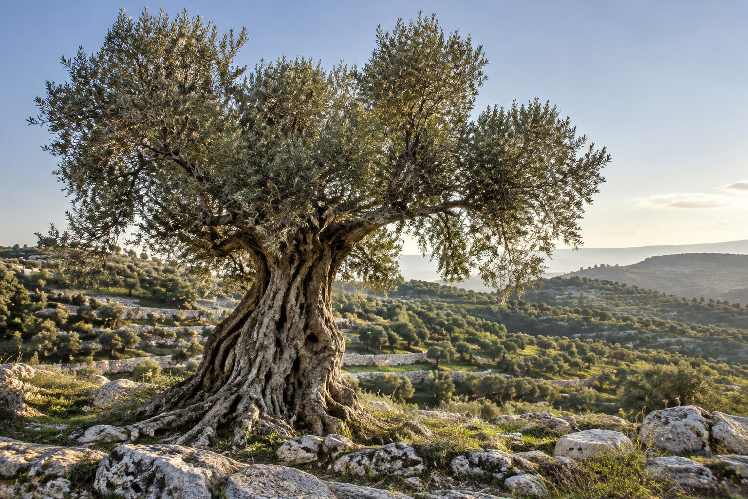 יום האדמה, 50 שנה אחרי — פרויקט מיוחד
